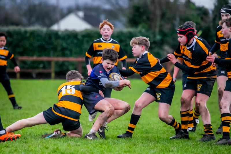 Carrick RFC U13s shine in dominant first half against Westport