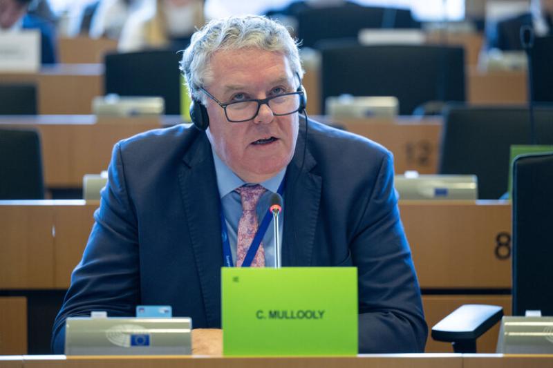 Longford MEP Ciaran Mullooly insists opposition to Mercosur must be a red line issue in Government formation talks