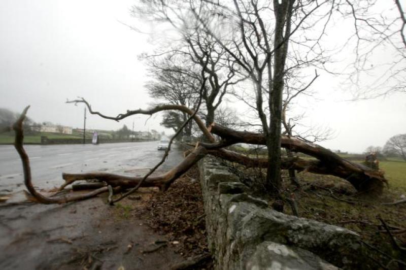Change needed to protect power lines in Leitrim following major outages 