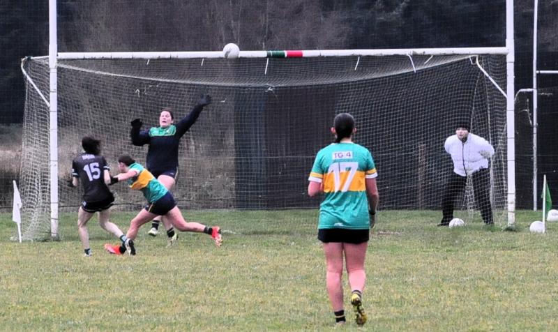 Experimental Leitrim Ladies side begin year with a loss to Fermanagh at home
