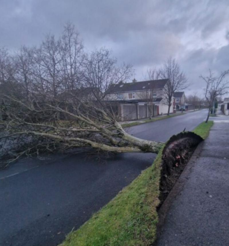 UPDATE: Irish Rail- 'NO TRAINS operating' as Storm Éowyn wreaks havoc