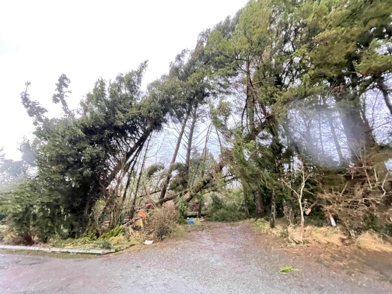 Thousands without power in Leitrim as storm Éowyn strikes