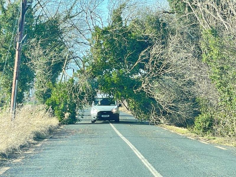 Government pledges support as Storm Éowyn leaves Ireland shook