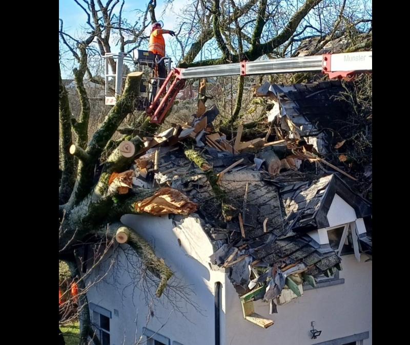 'Lucky to be alive'- 48-tonne tree crashes into home as couple narrowly escapes 