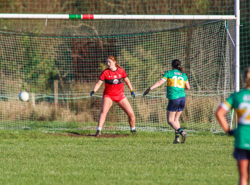 Leitrim Ladies get the ball rolling again with win over Derry