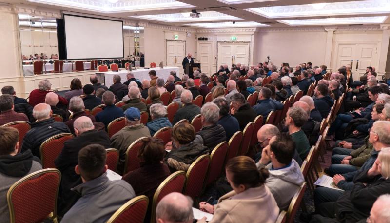 Leitrim forest owners feel abandoned as ministers skip critical storm damage meeting