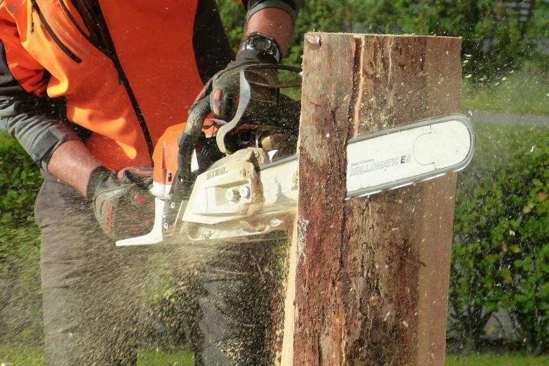 Councillor warns of ‘inevitable landslide’ due to overhanging trees in Leitrim