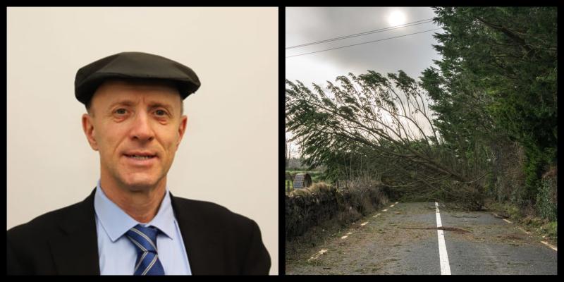 Leitrim delegation to meet minister Healy-Rae tomorrow over forestry 