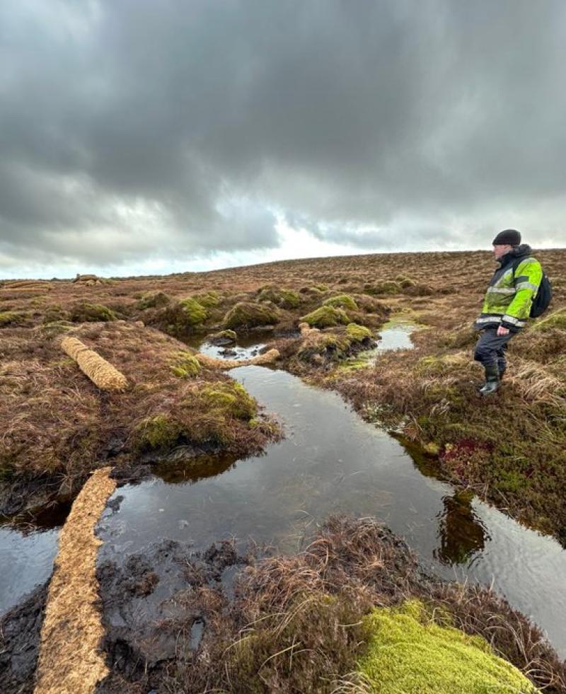 Farmers and researchers give historic bogs a new lease of life in Leitrim