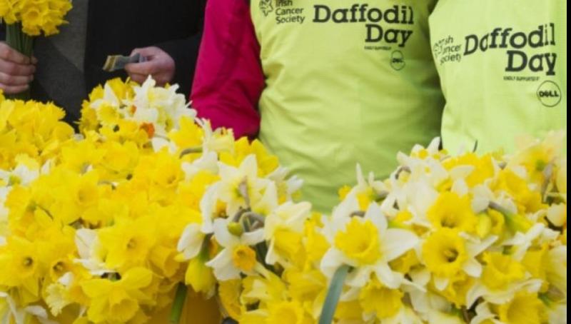 Support urged as Leitrim gears up for Daffodil Day 