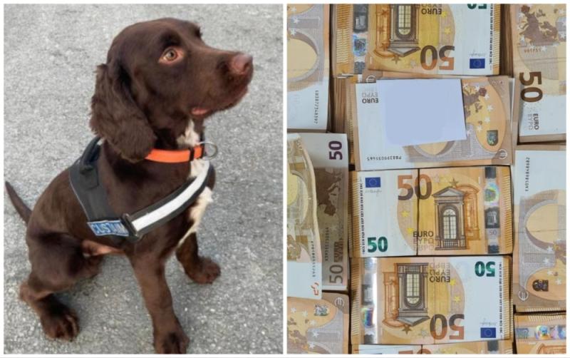 Massive cash figure seized in Garda raids tackling suspected overseas 'terrorist financing'