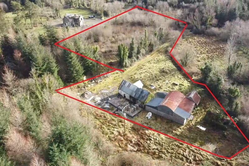 Leitrim grow house sells for €206,000 at auction