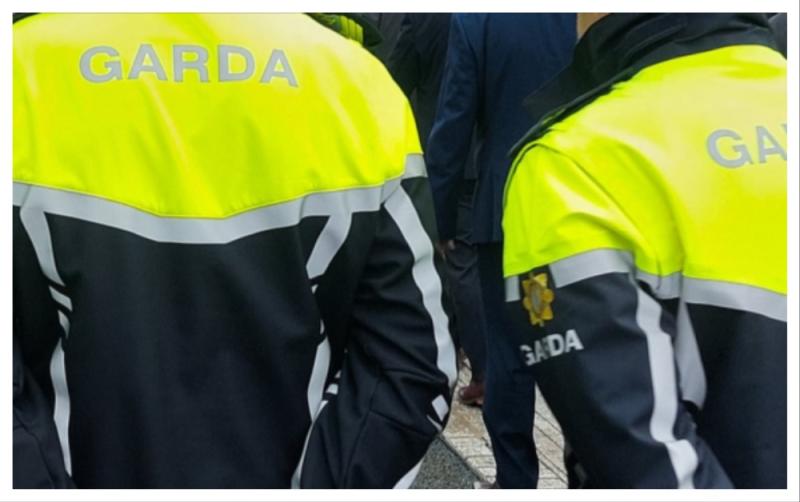 Gardaí arrest man (20s) in connection to series of accommodation fraud