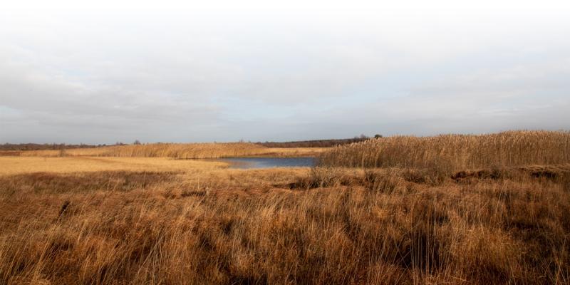 Will GAEC 2 affect planning in Leitrim? Council responds 