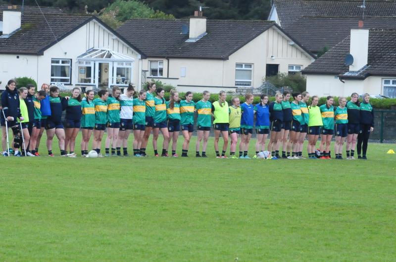 Leitrim Ladies off to Dublin and hosting Waterford in TG4 LGFA SFC All-Ireland group stages