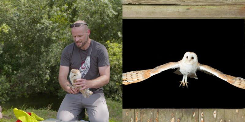 Forgotten hunters of Leitrim: New BirdWatch Ireland survey brings hope
