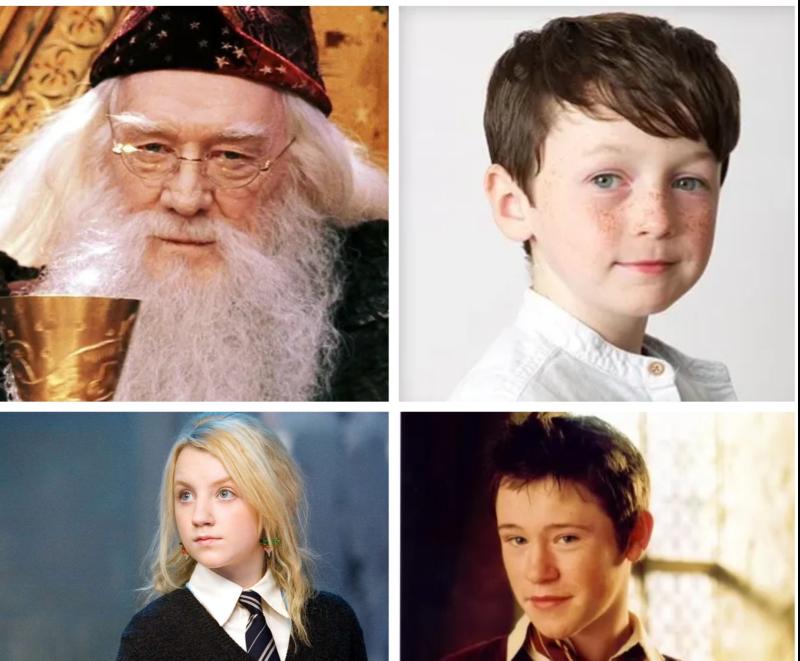 Leo joins a legacy: Irish stars who’ve cast spells on the Harry Potter universe