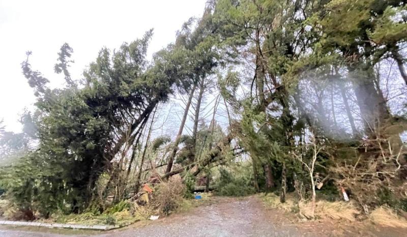 Over 100 Council houses in Leitrim damaged by Storm Éowyn, meeting hears