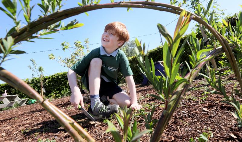 Small hands, big impact: Leitrim primary school wins Nature Hero award