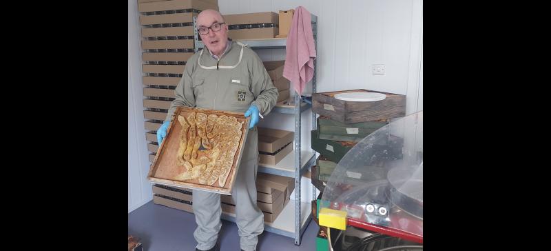 Sweet work! The buzz about beekeeping in Leitrim