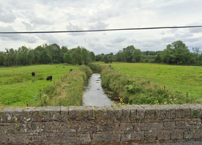 Flooding fears as storm damaged trees block river in Leitrim
