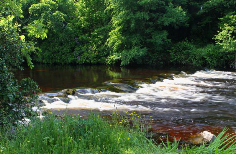 Thousands in funding from Inland Fisheries Ireland awarded to North Leitrim river project