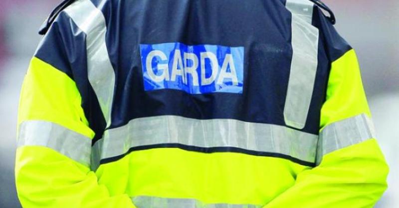 ALERT: Gardaí issue warning over suspicious vehicle calling to farmyards in South Leitrim 