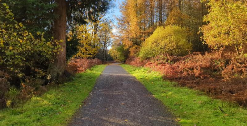 Unregistered land a concern along proposed Leitrim greenway route