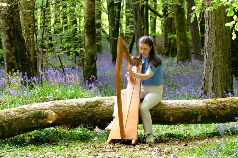 Following the Legacy of O&rsquo;Carolan at the 45th Harp Festival