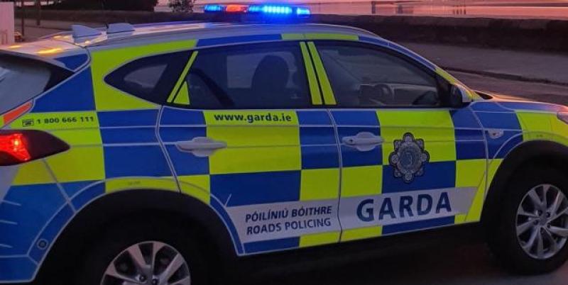 Man in his 50s to appear in court over death of 89 year old widow in Tipperary