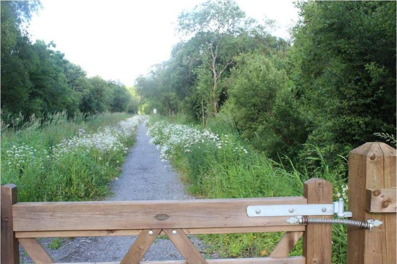 Leitrim unites for Alzheimer's memory walk in Cloone