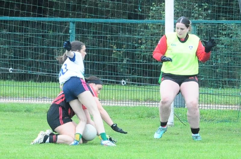 Fenagh take chance in last chance saloon 
