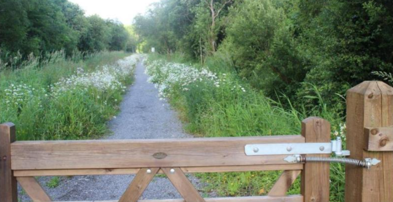 MEP Calls for EU Dementia research mission ahead of Leitrim Alzheimer’s Memory Walk this weekend