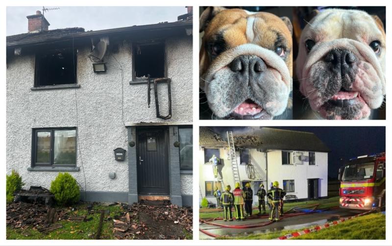 Community rally around heartbroken family who tragically lost their beloved dogs in house fire