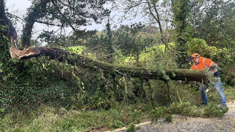 Customers in Leitrim to remain without power until tomorrow evening following Storm Amy damage