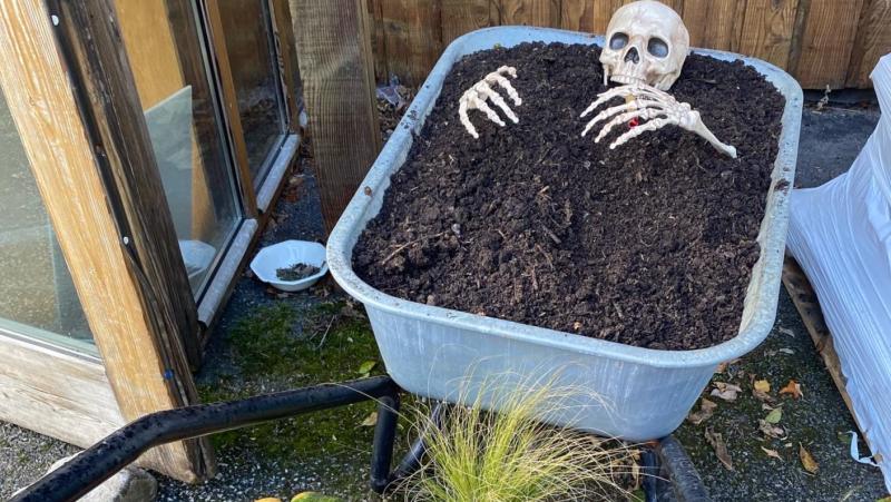Samhain at Leitrim Organic Centre returns next week