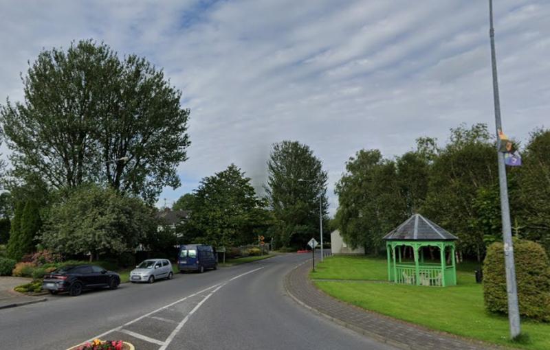 Tall trees at Leitrim playground to be surveyed over safety fears