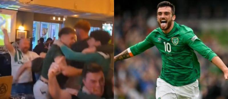 'The place just went ballistic'- Irish fans 'still buzzing' from Ireland V Hungary game