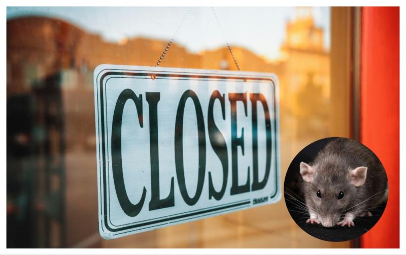 Popular takeaway in Leitrim forced to close after HSE inspector found 'rodent activity'