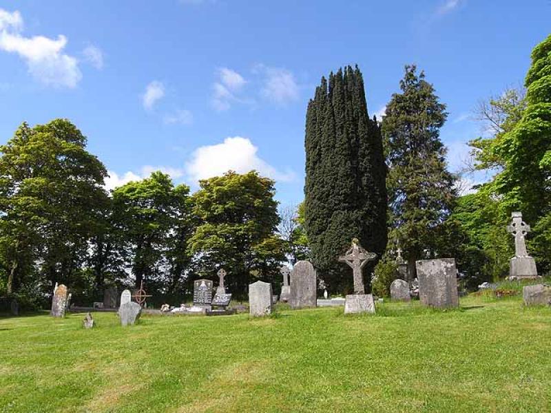 Tombstones in danger of falling trees, said Leitrim councillor