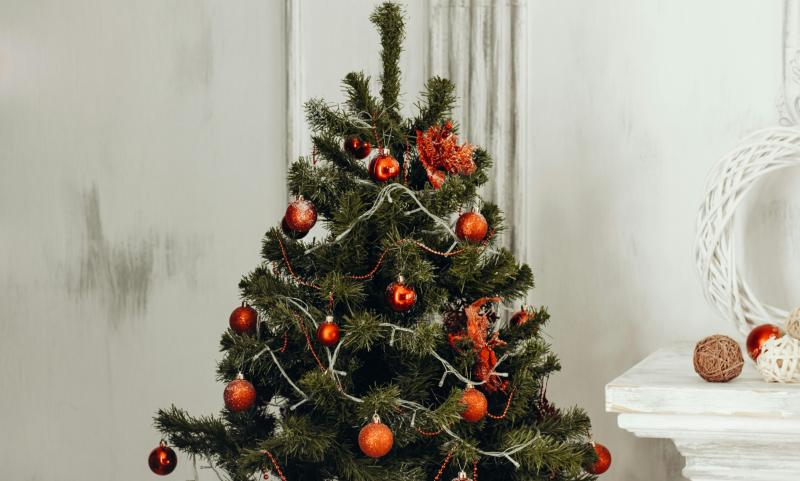 Where to recycle your Christmas tree in Leitrim announced