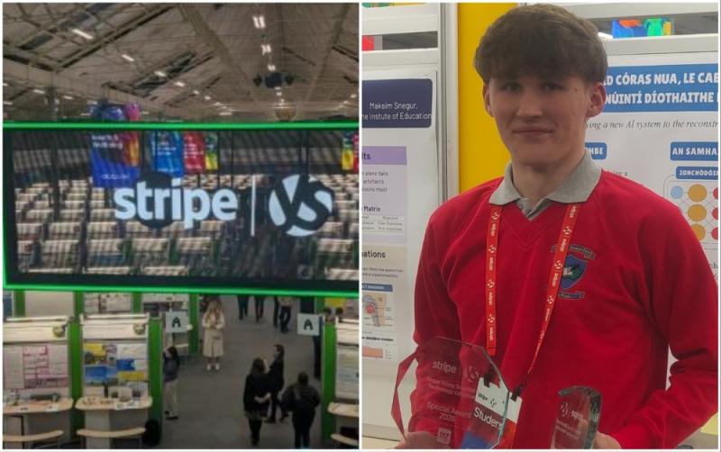 Leitrim student scoops major Stripe Young Scientist Exhibition awards for Irish project