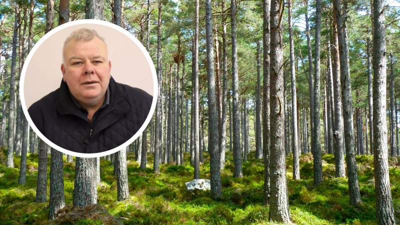 Anger mounts over presence of &lsquo;forestry vultures&rsquo; from the UK across Leitrim