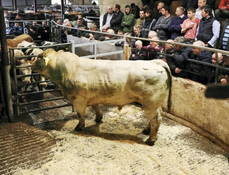 &euro;10,000 stolen from Dowry Mart -Organised Crime Gang arrested in  Leitrim 