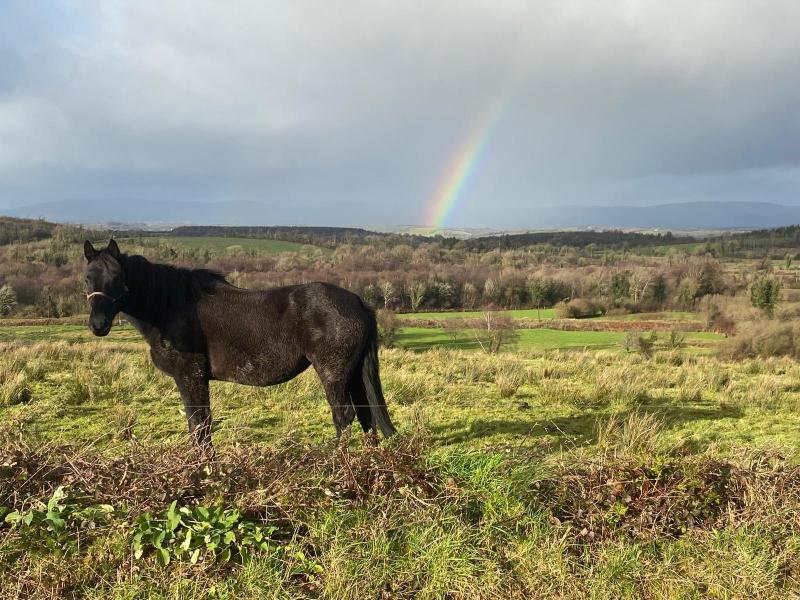 Walkers set for Drumreilly Community Camino this May