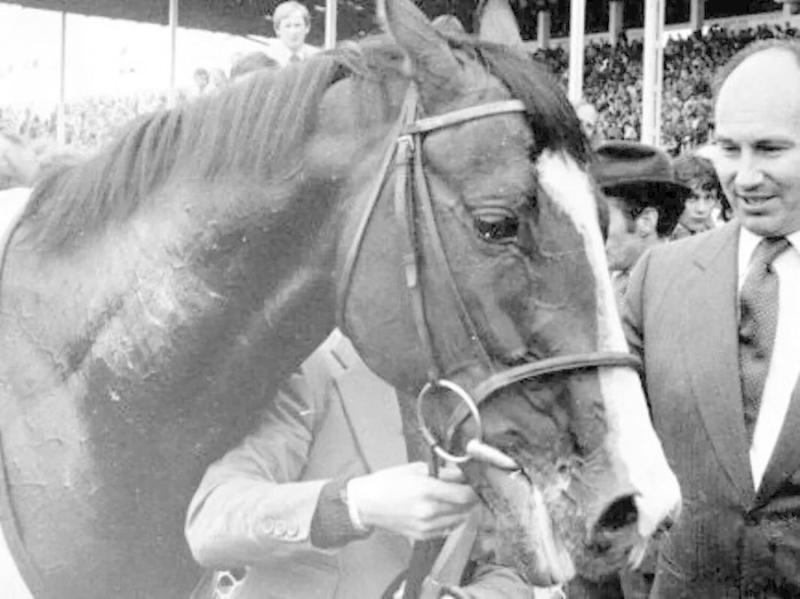 Ballinamore, Leitrim mentioned as possible burial site in Shergar Documentary
