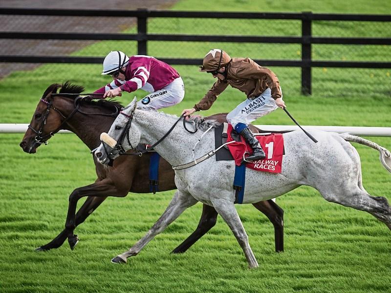 Roscommon racing year concludes next Monday
