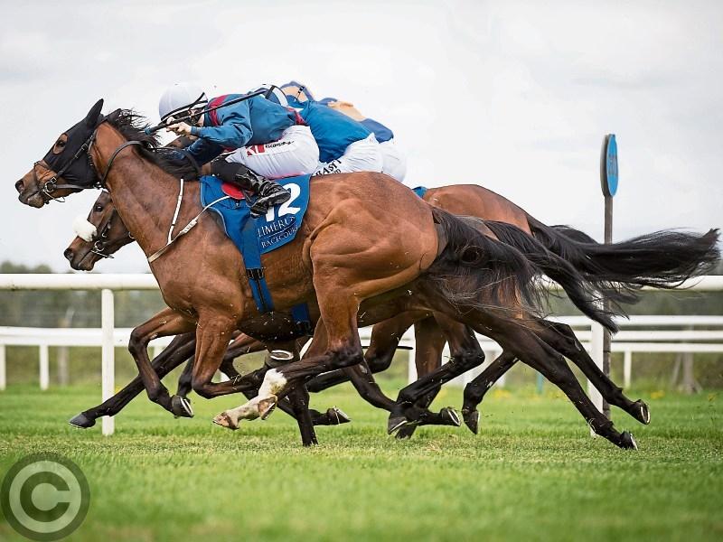 Roscommon Races open season next Monday May 13