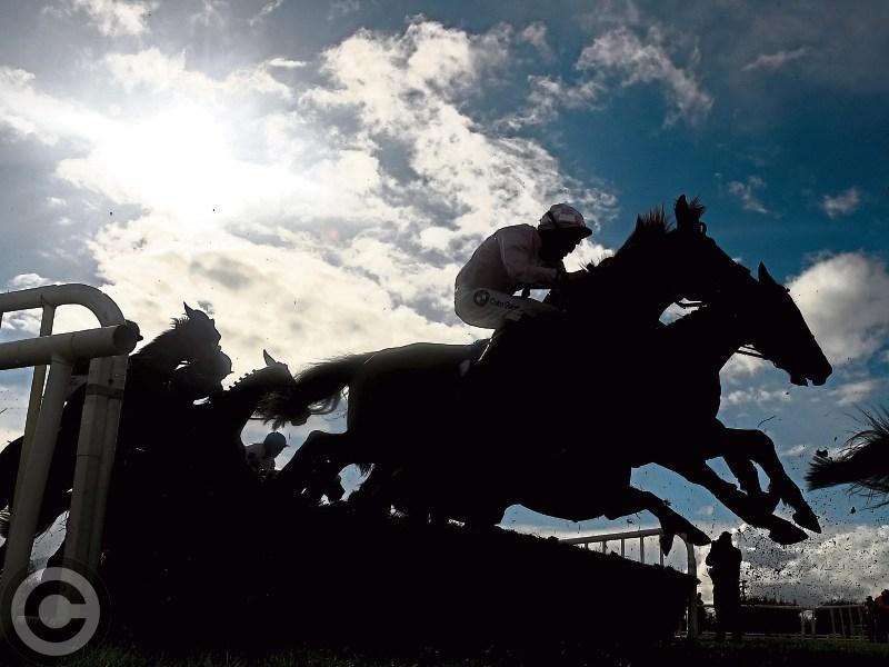 Ladies Day at Roscommon Races next Monday