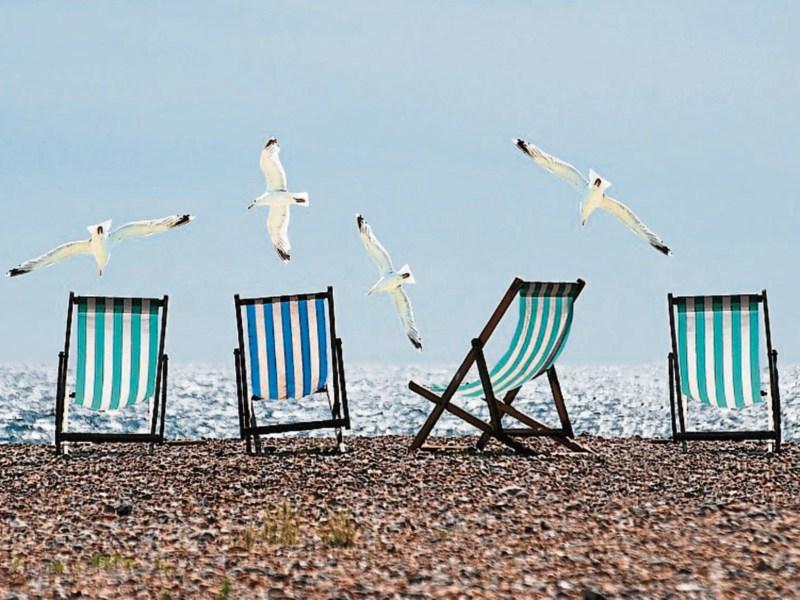 IFA urges Irish holidaymakers to take a farm staycation
